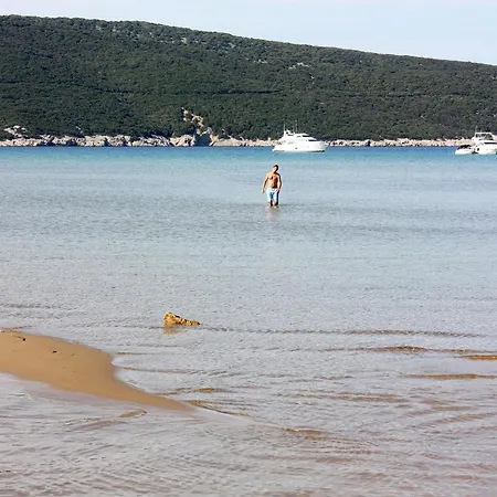 Apartamento For Families With Children Lopar, Rab - 10402